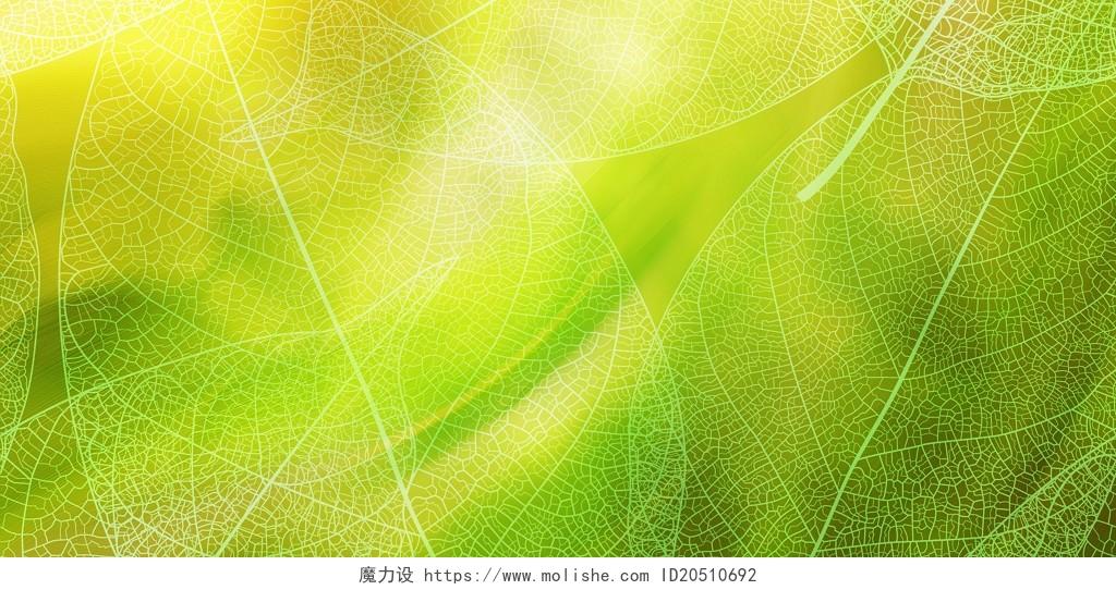 绿色简约唯美叶子树叶纹理脉络渐变绿光展板背景春天渐变抽象背景